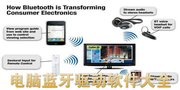 蓝牙驱动软件大全 计算机数据处理与下载指南